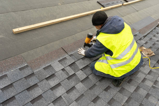 Roof Gutter Cleaning in Ecru, MS