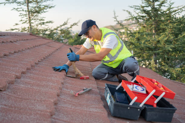 Best Roof Leak Repair  in Ecru, MS