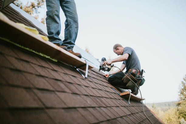 Roof Waterproofing Services in Ecru, MS